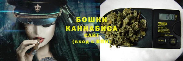 spice Ельня