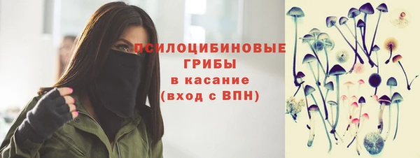 spice Ельня