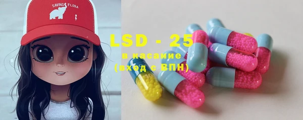 spice Ельня