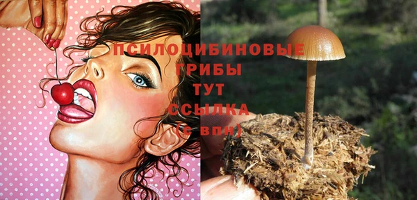 spice Ельня