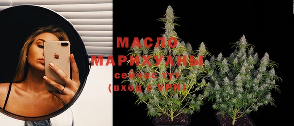 spice Ельня