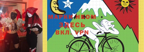 spice Ельня