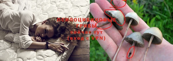 spice Ельня