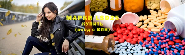 spice Ельня