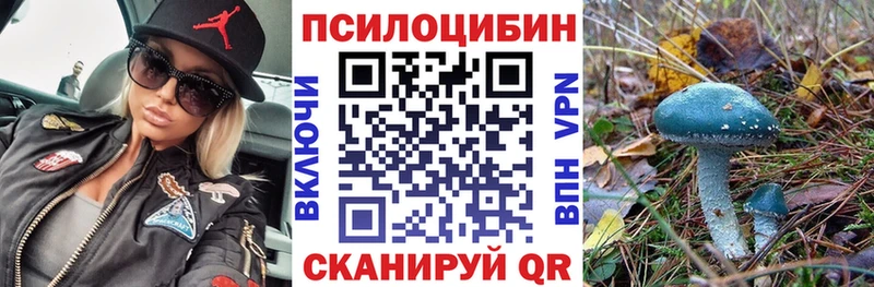 Галлюциногенные грибы прущие грибы  Кисловодск 